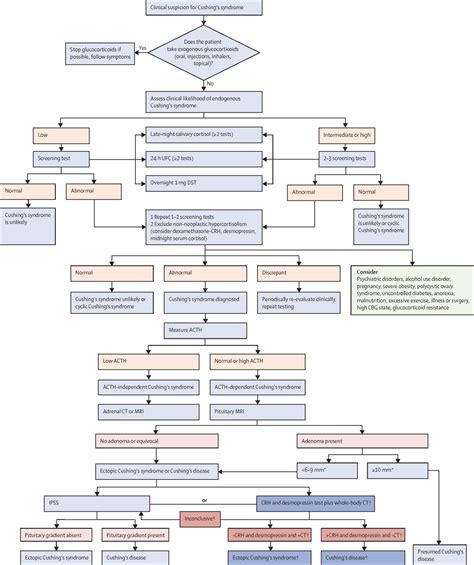 How Long Can You Have Cushing S Disease Without Knowing at Donna Weaver blog