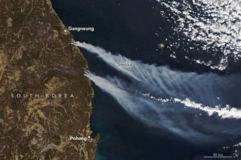 NASA Satellite Captures Massive Wildfire In South Korea [Photo] | IBTimes