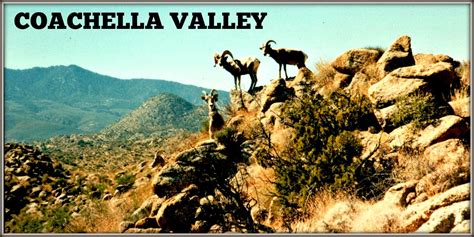 ,MY MEMORIES of COACHELLA VALLEY USD & COACHELLA VALLEY NEWS UPDATES