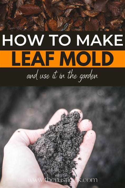 How To Make & Use Leaf Mold • The Rustic Elk