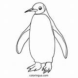 Penguin Coloring Pages Free Printable PDF sketch template