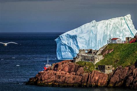 Gander, Newfoundland: the Canadian town that inspired Come from Away | RACV