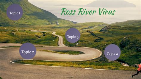 Ross River Virus by kaitlynn mahaffey on Prezi