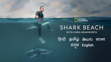 Shark Beach with Chris Hemsworth - Disney+ Hotstar