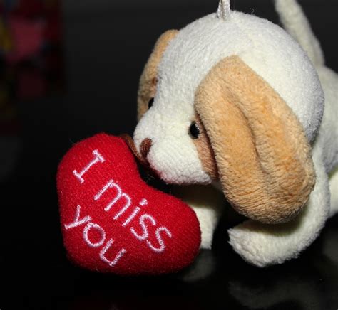 I Miss You With Puppy 2 Free Stock Photo - Public Domain Pictures