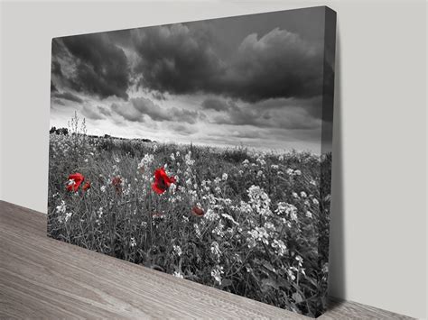 Red Poppy Field Black and White Canvas Art