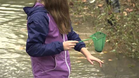 Rocky Run MS Science Lessons at Cub Run Rec Center - YouTube