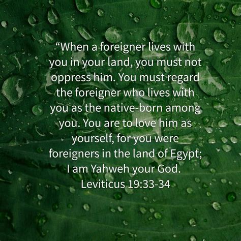 Leviticus 19:33-34 | Inspirational encouragement, Bible apps, Do what is right