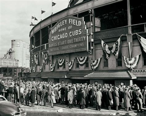 Chicago Cubs Wrigley Field vintage photo baseball stadium