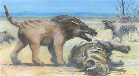 Image - Andrewsarchus and hyaenodon re do by patriatyrannus-d4rctm5.png | Prehistoric Life Wiki ...