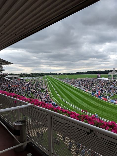 A Day at York Racecourse: More Than Just A Day Out — The Sporting Blog