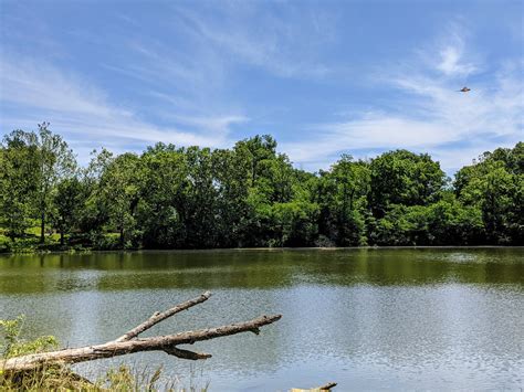 Butler Lake Loop — Kentucky Hiker Project