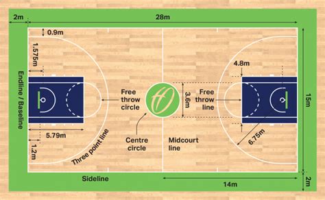 Perspective View Of Basketball Court With Its Size Vector