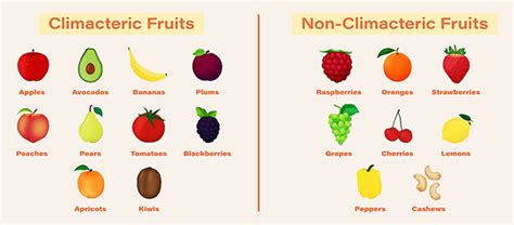 Stay Fresh: Ways to Control Fruit Ripening | DPO International