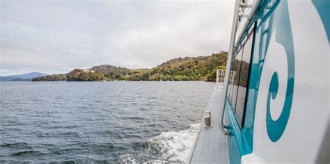 Stewart Island Ferry - Everything New Zealand