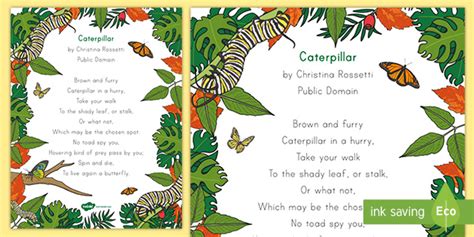 Caterpillar Poem Poster (teacher made)