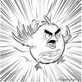 Angry Bird Coloring Pages  Free & Printable sketch template