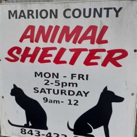 Marion County Animal Shelter | Facebook | Linktree