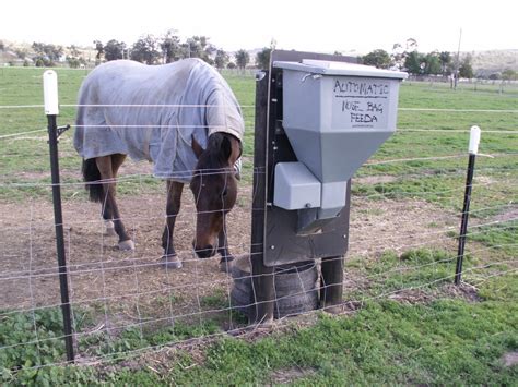 Compare automatic horse feeders. - NOSEBAG FEEDER