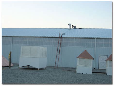 Weathervane & Cupola Installation