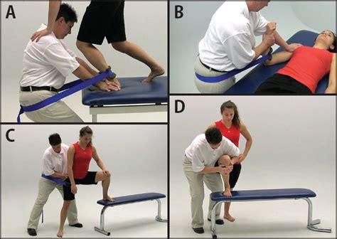 Joint Mobilization and Traction Techniques in Rehabilitation | Musculoskeletal Key