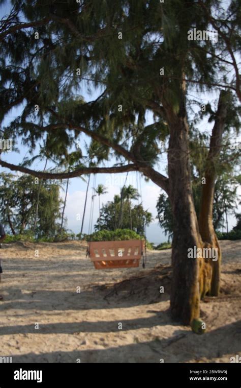 Chilling on the beach Stock Photo - Alamy