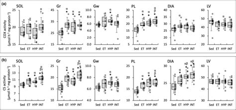 Enzyme activity values for COX (a) and CS (b). Values are expressed as... | Download Scientific ...