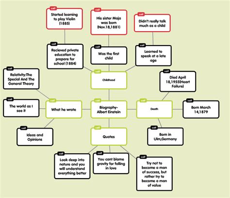 Flow Chart - Albert Einstein