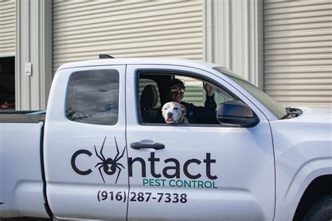 Contact Pest Control - Your Local Pest Specialists