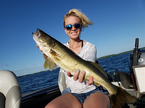 2019 Walleye Photos - Walleye & Sauger - Walleye & Sauger - Page 2 | In-Depth Outdoors