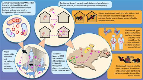 A new model of pathogen transmission in developing urban landscapes