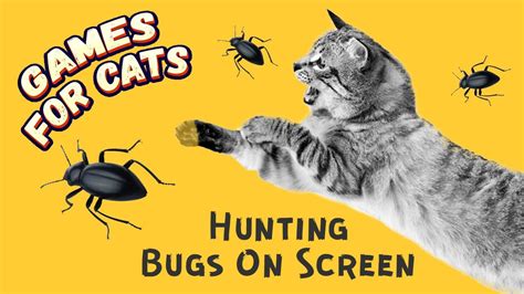 Cat Games Bugs On Screen | BEST bugs for cats to watch 😻 - YouTube