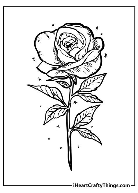 Rose Flower Picture For Coloring | Best Flower Site