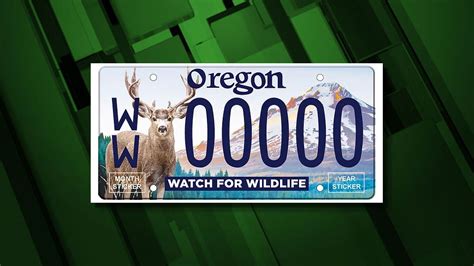 Oregon Wildlife Federation's 'Watch for Wildlife' license plates arrive ...