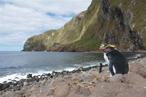 Inaccessible Island – Inaccessible Island, United Kingdom - Atlas Obscura