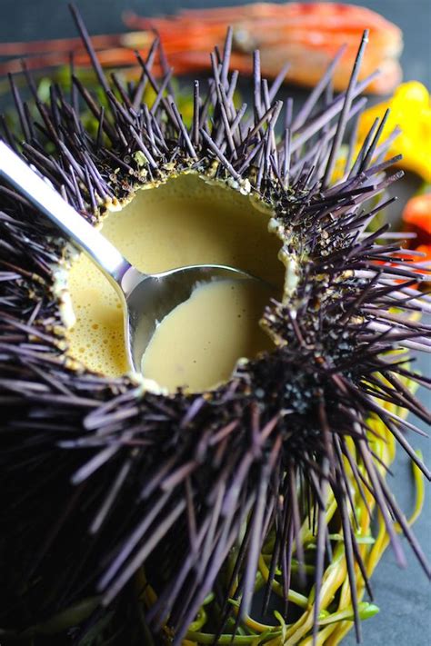 Delicious Sea Urchin Recipe - A Taste of the Ocean