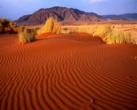 free download pictures of desert | Desert background, Free download pictures, Taklamakan desert