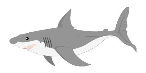 Free Animated Shark Cliparts, Download Free Animated Shark Cliparts png images, Free ClipArts on ...