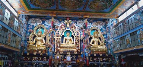 Tibetan Monastery / Golden Temple Coorg (Madikeri) - 2019 What to Know Before You Go (with ...