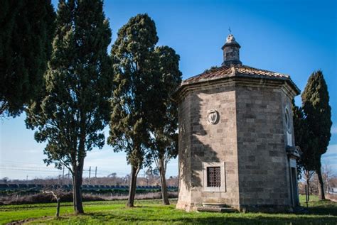 San Guido Bolgheri Tuscany - My Travel in Tuscany