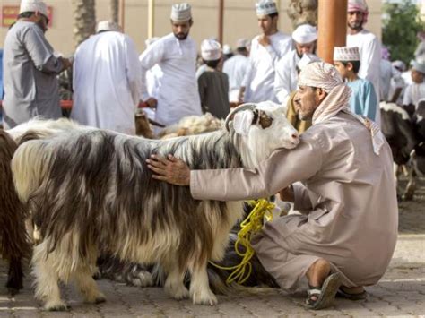 Luxury culture holiday in Oman | Responsible Travel