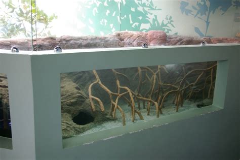 mangrove tank - ZooChat