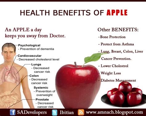 THE LENOF: WHY YOU SHOULD CONSIDER EATING APPLE AND IT'S HEALTH BENEFITS