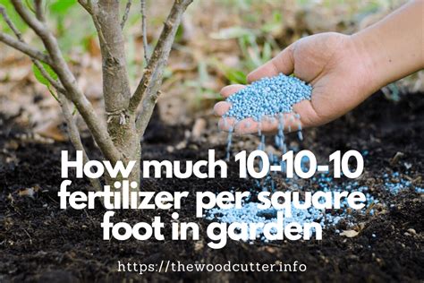 How To Use 10-10-10 Fertilizer for Your Garden and Lawn