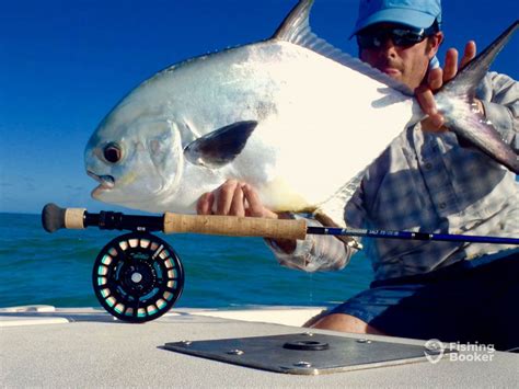 How to Go Fly Fishing for Florida Pompano: An Angler’s Guide for 2024