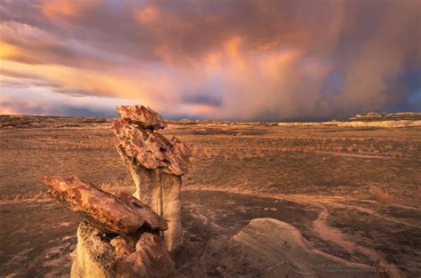 Bisti Badlands New Mexico - Alan Majchrowicz Photography