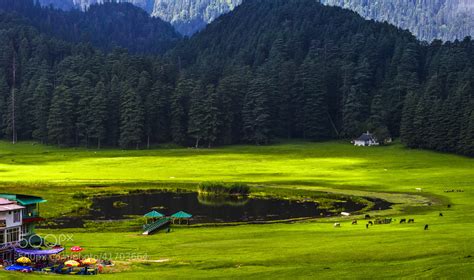 Photograph Khajjiar Chaugan, Chamba, Himachal Pradesh by Akash Deep on 500px