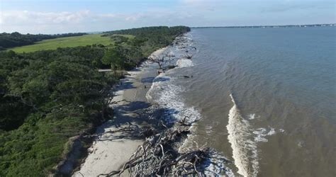 Jekyll Island Driftwood Beach Aerial Stock Footage Video 11913200 ...