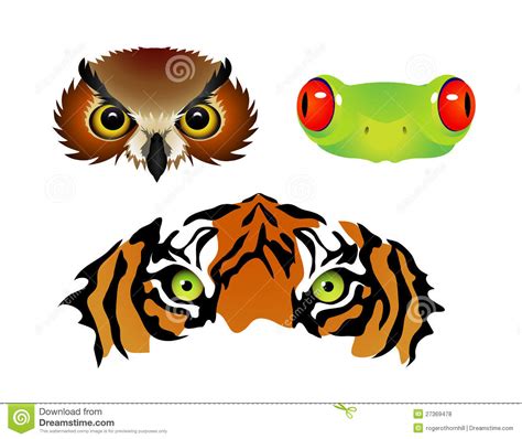 Animal eyes clipart - Clipground