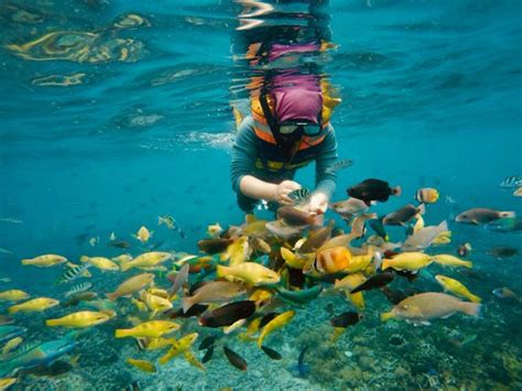 Private Gili Nanggu Lombok Snorkeling Tour with Japanese Guide